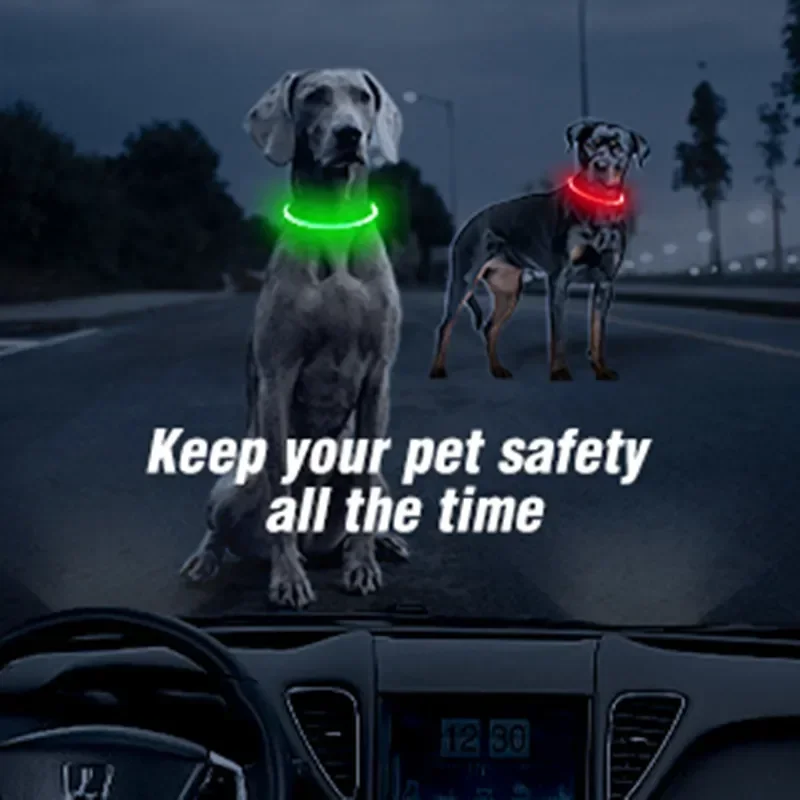 Led Light Dog Collar Detachabl - Men'S Grooming Products recension och pris
